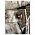 Autre Marque Jeans Class Roberto Cavalli Tie-Dye Nero Bianco Grigio - vista 3