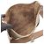 Hermès Borsa a tracolla Hermes Evelyne 3 Trois PM Marrone Taupe - vista 3
