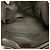 Gucci GG Canvas Sherry Line Tote Bag Braun Beige - Ansicht 4