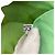 Hermès Hermes Silk Sheer Stole Green - view 10