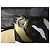 Louis Vuitton Borsa Neverfull MM Monogram Camouflage League of Legends Multicolore Monogramma - vista 9