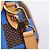 LOUIS VUITTON Damier Pop Speedy Bandouliere 18 Borsa a mano N40595 LV Auth 204896SM Damier ebene - vista 20