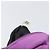 Pouch PRADA Raso Viola Argento Auth bs37251 Porpora - vista 12