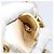 Borsa a mano Miu Miu Matelassé Canvas Beige Gold Tone Auth bs37124 - vista 10