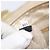Borsa a mano Miu Miu Matelassé Canvas Beige Gold Tone Auth bs37124 - vista 12