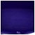 Louis Vuitton Purple Epi Neverfull MM Roxo - vista 4