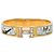 Hermès Hermes Click H PM Charm Armband Mehrfarben Golden