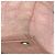 Borsa Chanel New Travel in nylon Rosa - vista 6