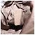 Chloé Chloe Lily Schultertasche Leder 2way Beige Gold Auth 206105A Golden - Ansicht 12