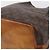 Borsa a tracolla LOUIS VUITTON Monogram Petit Noe M42226 LV Auth bs37378 Monogramma - vista 14