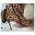 Christian Louboutin Eloise Booty 85 Stivaletti Camoscio Leopardato Marrone Stampa leopardo - vista 3