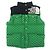 Chaleco de plumón de algodón Gucci The North Face Negro Verde
