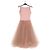 Repetto Rosa Langes Kleid Pink