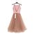Repetto Rosa Langes Kleid Pink - Ansicht 4