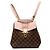 Louis Vuitton Brown Damier Ebene Clapton Marrom