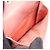 Miu Miu SOFTY LOGO Tri-fold Wallet Brown Pink - view 4