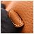 Hermès Bolsa de ombro Hermes Evelyne TPM Amazon Gold Marrom - vista 5