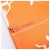 Hermès Pañuelo Twilly Hermes Multicolor Naranja - vista 4