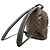 Zaino Louis Vuitton Palm Springs PM Marrone - vista 2