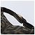 FENDI Zucca Canvas Vanity Handtasche Schwarz Braun Auth 206079 - Ansicht 14