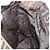 Borsa a mano FENDI Zucca Canvas Nero Marrone Auth ep16123 - vista 18