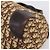 Borsa a mano Christian Dior Trotter Canvas Marrone Tono Oro Auth gh2402 - vista 15
