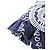 Hermès Hermes Eperon D'Or Bandana Twilly Sciarpa a Volant Muffler Nero Bianco Blu - vista 3
