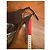 Fendi Python and Suede Platform Sandals Brown Python print - view 5