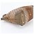 Borsa Tote Gucci GG Canvas Heartbeat D'oro - vista 5