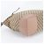 Gucci GG Canvas Bree 336755 Leder 2-Way Schultertasche Braun Pink - Ansicht 6