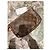 Louis Vuitton Pochette Accessoires Monogram Marron Monogramme - vue 7