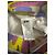 GCDS Multicolour Camouflage Cargo Pants Pink Multiple colors Beige Green Purple Yellow - view 2