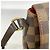 Borsa a tracolla Louis Vuitton Damier Buzas Roseberry Damier ebene - vista 6