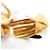 Cartier Trinity Ohrstecker - Ansicht 4