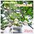 Autre Marque Crystal Ball Ornament Glass Ornament Multiple colors - view 3