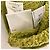 Autre Marque SLOBE IENA Washed Pleats Pullover Green - view 5