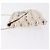 Bolsa de Ombro com Corrente CHANEL Tweed Branco Prata CC Auth 205917V - vista 4