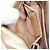 Borsa a tracolla Salvatore Ferragamo Vala Chain in pelle oro autentica bs37272 - vista 24
