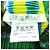 Issey Miyake PLEATS PLEASE Camiseta de poliéster con estampado all-over Azul Verde Amarillo - vista 5
