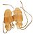 Vince Brown Leather Python-Effect Lace-up Sandals
