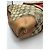 Gucci Boston Bag aus Monogramm-Canvas mit Streifen Braun Rot Beige - Ansicht 11
