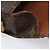 LOUIS VUITTON Monogram Saint Cloud GM Shoulder Bag M51242 LV Auth bs37197 Monogramme - vue 25