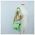 FENDI Zucca Canvas Mamma Baguette Bag Leather 2way Green Silver Auth yk20894SAM Tasche Silber Grün - Ansicht 28