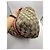 Borsa Tote Gucci in tela monogramma Marrone Beige Arancione Porpora - vista 7