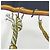 Hermès Hermes Carre 90 Passementerie Tassel Schal Schwarz Mehrfarben - Ansicht 6