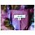 Stella Mc Cartney Stella Trench Light Hype Pastilles TM Negro Púrpura - vista 13