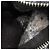 Autre Marque Abrigo Riders de cuero DIESEL Castaño Negro - vista 10