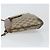 Borsa GUCCI GG Supreme Web Sherry Line in PVC beige e oro 904 02 020 Autentica BA7124 - vista 4