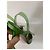 Amina Muaddi Sandali Slingback Begum Verdi Verde - vista 8