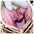 Borsa a tracolla Miu Miu Matelassé in pelle rosa oro autentica 204496SAM D'oro - vista 23